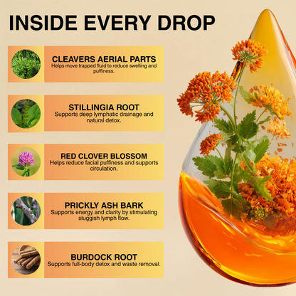 Lymphatic Drainage Drop
